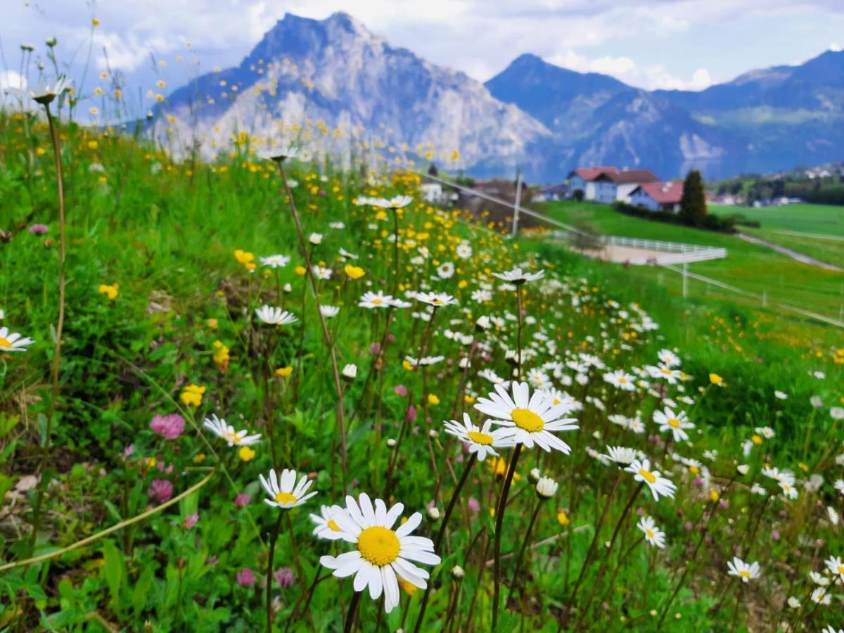 Kainzleitenhof Nachdemsee ภายนอก รูปภาพ